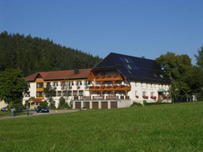 Landgasthof Zum Schwanen Hornberg